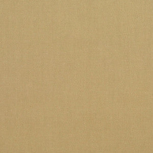 3888 Celadon by Charlotte Fabric