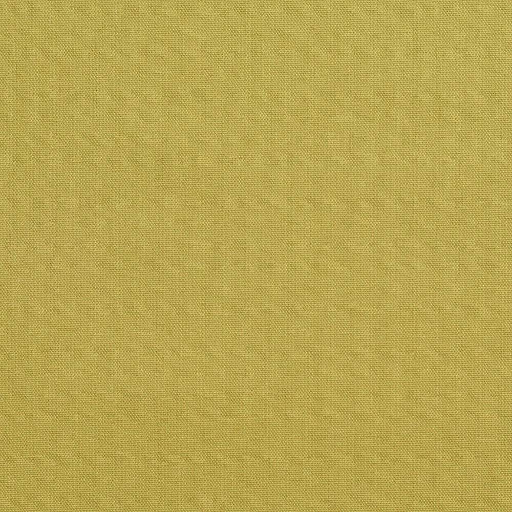 3890 Pear by Charlotte Fabric Cotton Duck 100% Cotton 12 oz. Preshrunk Canvas Duck Made In USA Exceeds 60,000 Wyzenbeek Rubs (Heavy Duty) No Repeat 54 Inches - Fabric Carolina -