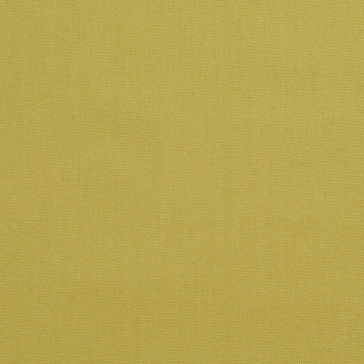 3890 Pear by Charlotte Fabric Cotton Duck 100% Cotton 12 oz. Preshrunk Canvas Duck Made In USA Exceeds 60,000 Wyzenbeek Rubs (Heavy Duty) No Repeat 54 Inches - Fabric Carolina -