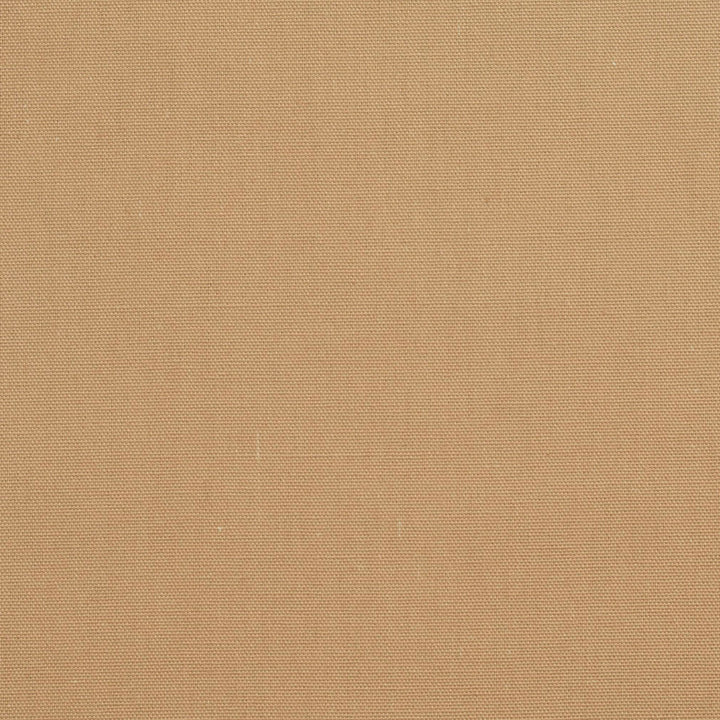 3892 Latte by Charlotte Fabric Cotton Duck 100% Cotton 12 oz. Preshrunk Canvas Duck Made In USA Exceeds 60,000 Wyzenbeek Rubs (Heavy Duty) No Repeat 54 Inches - Fabric Carolina -