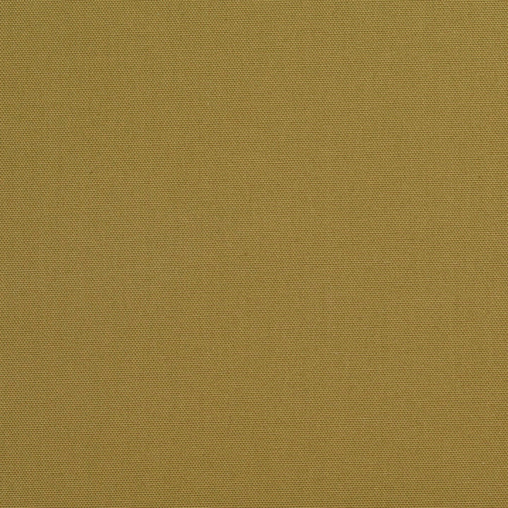 3894 Sage by Charlotte Fabric Cotton Duck 100% Cotton 12 oz. Preshrunk Canvas Duck Made In USA Exceeds 60,000 Wyzenbeek Rubs (Heavy Duty) No Repeat 54 Inches - Fabric Carolina -