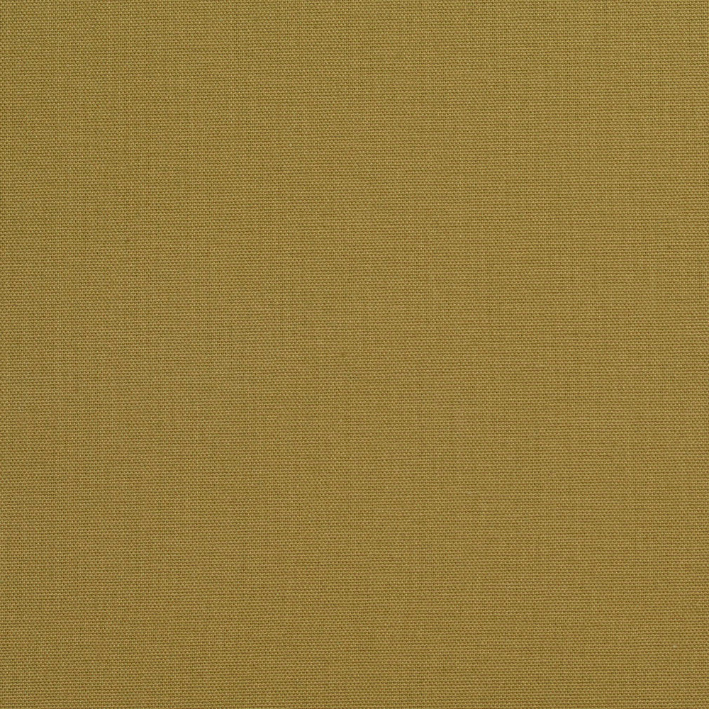 3894 Sage by Charlotte Fabric Cotton Duck 100% Cotton 12 oz. Preshrunk Canvas Duck Made In USA Exceeds 60,000 Wyzenbeek Rubs (Heavy Duty) No Repeat 54 Inches - Fabric Carolina -
