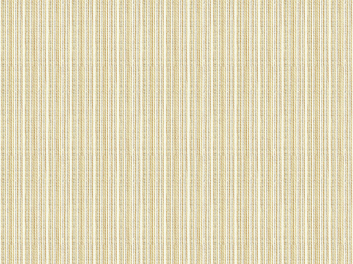 Lightrunner Vanilla by Kravet Contract Fabric POLYESTER FR - 100% Turkey Horizontal: 0 and Vertical: 1.5 118 - Fabric Carolina -