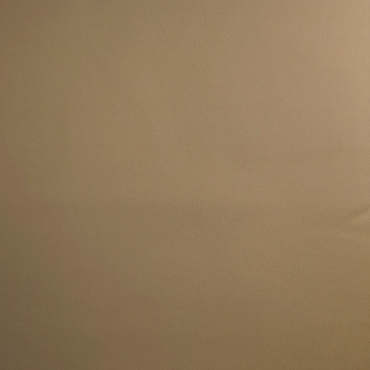 Pioneer - 38 by Europatex Fabric Pioneer 55% PVC, 40% Polyester, 5% Polyurethane China See Sample Horizontal: N/A and Vertical: N/A 55.00 inches  - Fabric Carolina -