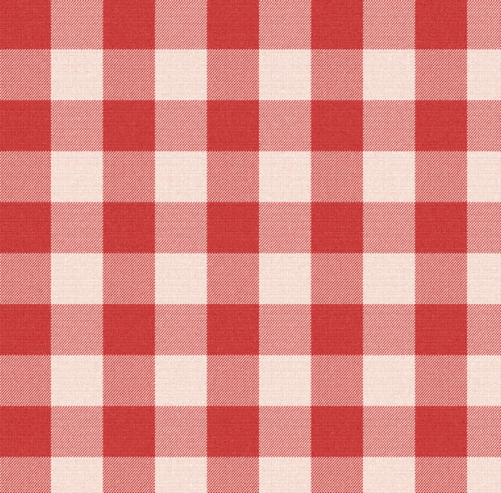 45953-00010 Check-Me-Out Crimson by Sunbrella Fabric Sunbrella Acrylic USA or Imported 5-Year Horizontal: 7 in. and Vertical: 6.9 in. 54 in. - Fabric Carolina -