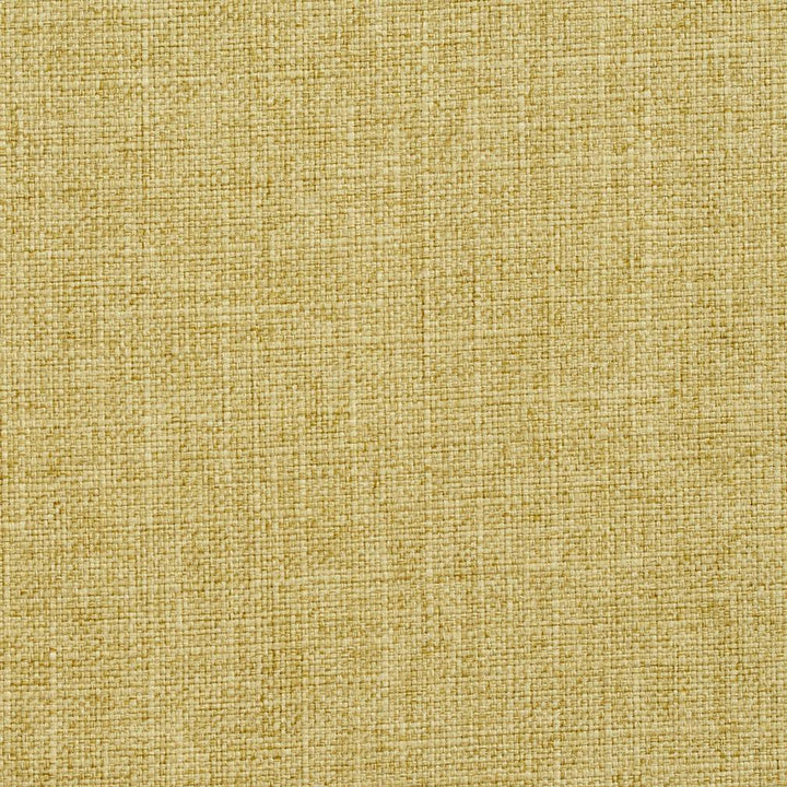 3904 Citrus by Charlotte Designer Fabric Textures Vol. 2 100% Woven Polyester Asia Exceeds 120,000 Wyzenbeek Rubs (Heavy Duty) No Repeat 54 Inches - Swanky Fabrics -