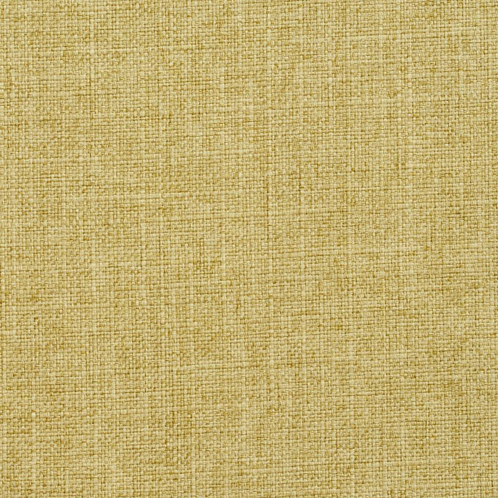 3904 Citrus by Charlotte Fabric Textures Vol. 2 100% Woven Polyester Asia Exceeds 120,000 Wyzenbeek Rubs (Heavy Duty) </p><p>Repeat: 54 Inches - Fabric Carolina -