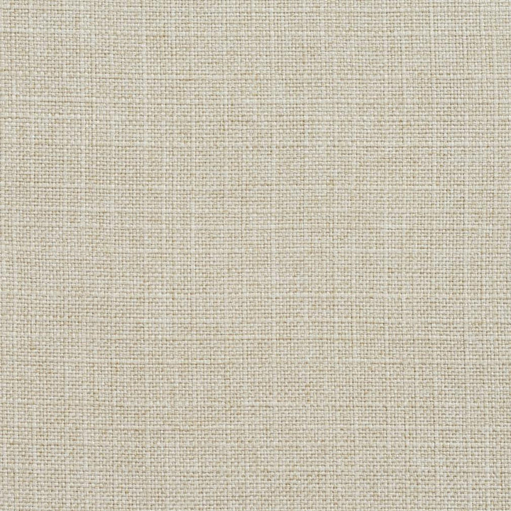 3906 Sand by Charlotte Fabric Textures Vol. 2 100% Woven Polyester Asia Exceeds 120,000 Wyzenbeek Rubs (Heavy Duty) </p><p>Repeat: No Repeat 54 Inches - Fabric Carolina -