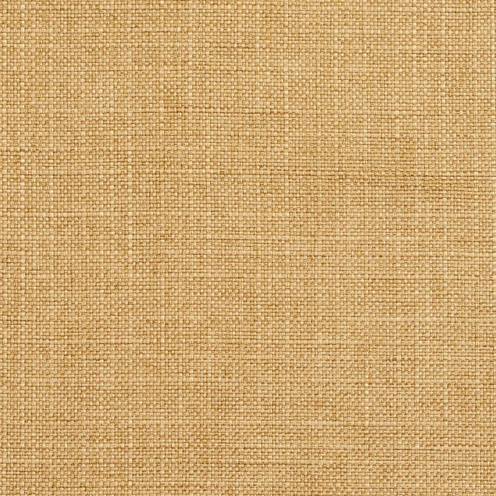 3921 Honey by Charlotte Designer Fabric Textures Vol. 2 100% Woven Polyester Asia Exceeds 120,000 Wyzenbeek Rubs (Heavy Duty) No Repeat 54 Inches - Swanky Fabrics -