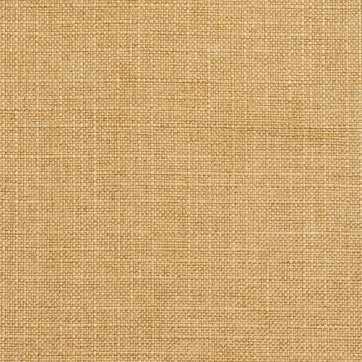 3921 Honey by Charlotte Fabric Textures Vol. 2 100% Woven Polyester Asia Exceeds 120,000 Wyzenbeek Rubs (Heavy Duty) </p><p>Repeat: No Repeat 54 Inches - Fabric Carolina -