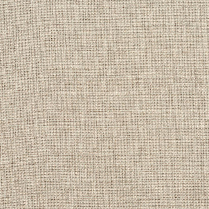 3925 Flax by Charlotte Fabric Textures Vol. 2 100% Woven Polyester Asia Exceeds 120,000 Wyzenbeek Rubs (Heavy Duty) </p><p>Repeat: 54 Inches - Fabric Carolina -