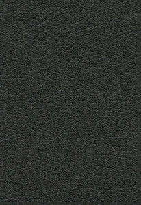 Brisa Soleil Black Onyx 393-5749 by Schumacher Fabric