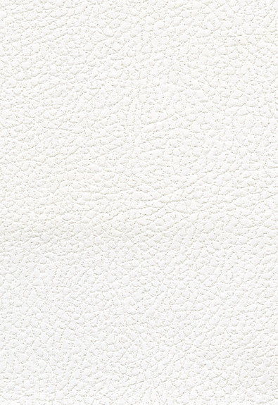 Brisa Soleil Polar 393-5750 by Schumacher Fabric Ultraleather 100% Polyurethane Wyzenbeek 200,000 Horizontal: - and Vertical: - 54 - Fabric Carolina -