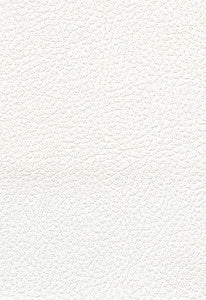 Brisa Soleil Polar 393-5750 by Schumacher Fabric