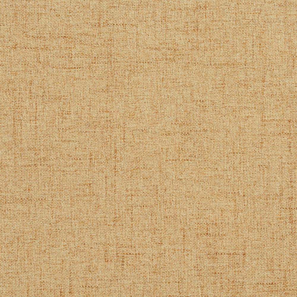 3931 Latte by Charlotte Fabric Textures Vol. 2 & Ring Book Page #13A 100% Woven Polyester Asia Exceeds 110,000 Wyzenbeek Rubs (Heavy Duty) </p><p>Repeat: 54 Inches - Fabric Carolina -