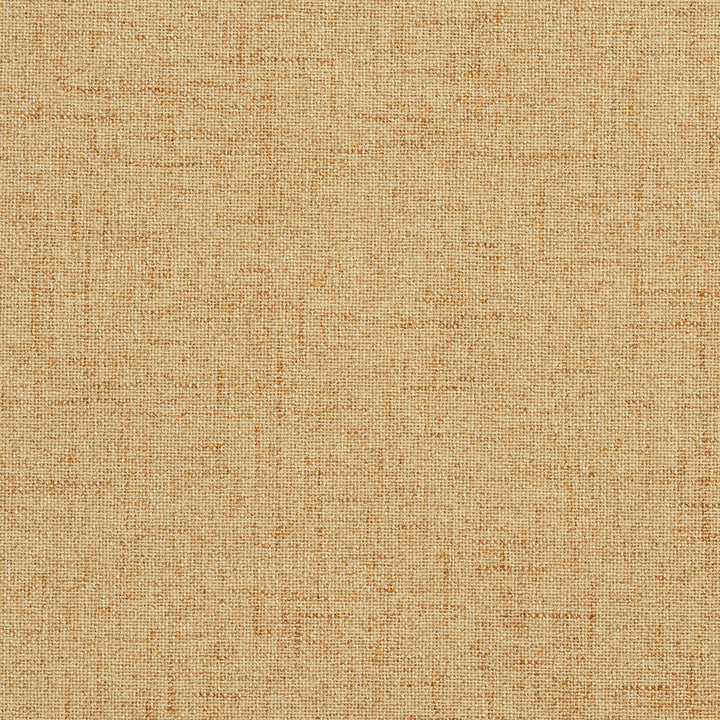 3931 Latte by Charlotte Fabric Textures Vol. 2 & Ring Book Page #13A 100% Woven Polyester Asia Exceeds 110,000 Wyzenbeek Rubs (Heavy Duty) No Repeat 54 Inches - Fabric Carolina -
