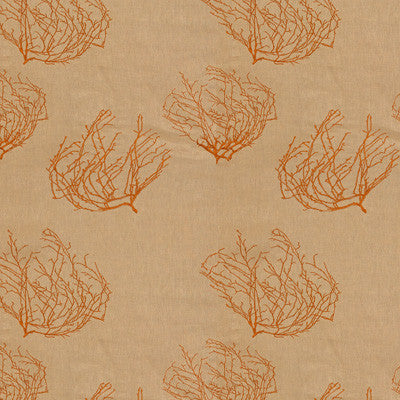 Wind Swept Canyon by Kravet Couture Fabric
