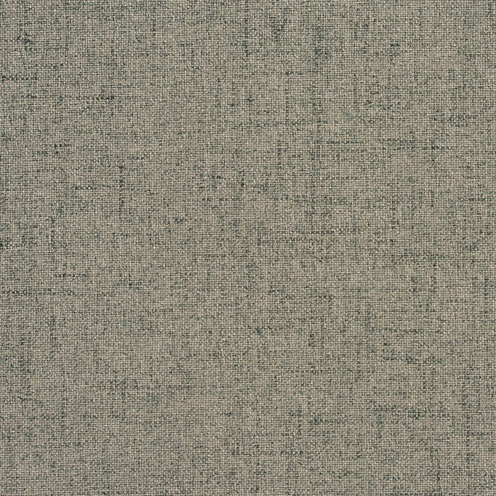 3945 Charcoal by Charlotte Fabric Textures Vol. 2 & Ring Book Page #13A 100% Woven Polyester Asia Exceeds 110,000 Wyzenbeek Rubs (Heavy Duty) </p><p>Repeat: 54 Inches - Fabric Carolina -