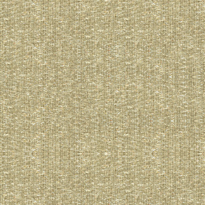 Crystal Sheer Truffle by Kravet Couture Fabric