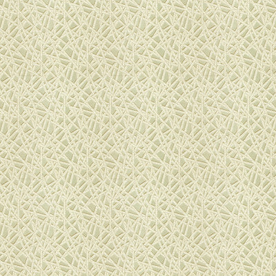 Embark Mineral by Kravet Contract Fabric
