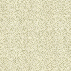 Embark Mineral by Kravet Contract Fabric