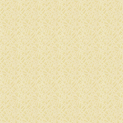 Embark Shell by Kravet Contract Fabric