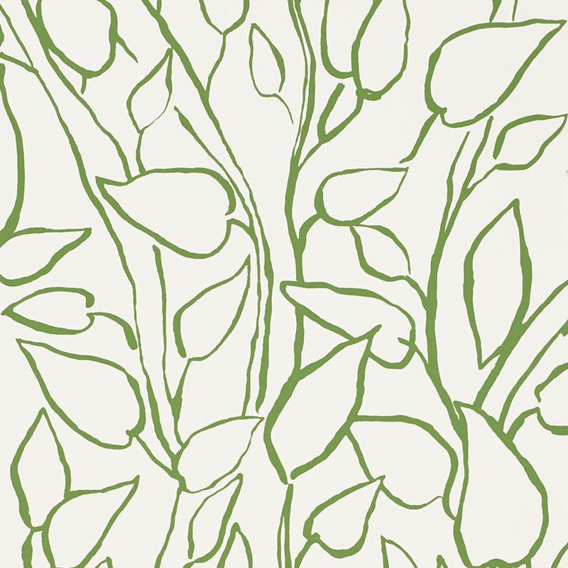 Solandra Vine Leaf 5010070 by Schumacher Wallpaper Freehand 26.75" - Fabric Carolina -