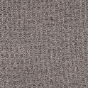 87005-0009 Rally Graphite by Sunbrella Fabric