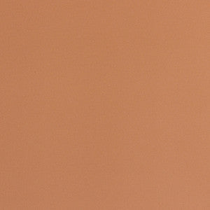 211MS+ Toast by Sunbrella Fabric