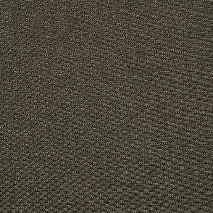 48135-0013 Bliss Bark by Sunbrella Fabric Sunbrella® Acrylic, Sunbrella® Polyester, Sunbrella® Non-Phthalate PVC USA or Imported 5-Year Horizontal: and Vertical: 54 in. - Fabric Carolina -