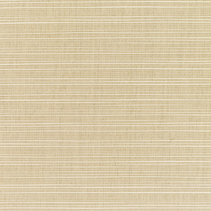 8011 77 Rain Dupione Sand by Sunbrella Fabric Sunbrella Rain 100% Sunbrella® Acrylic USA or Imported 5-Year Horizontal: and Vertical: 60 yd. 54 in. - Fabric Carolina -