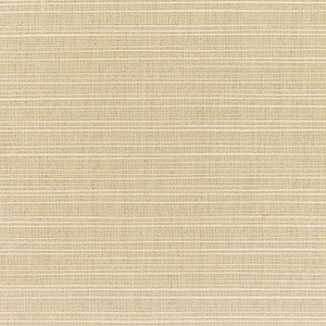 8011 77 Rain Dupione Sand by Sunbrella Fabric
