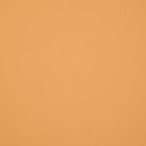 U414 Honey by Sunbrella Fabric