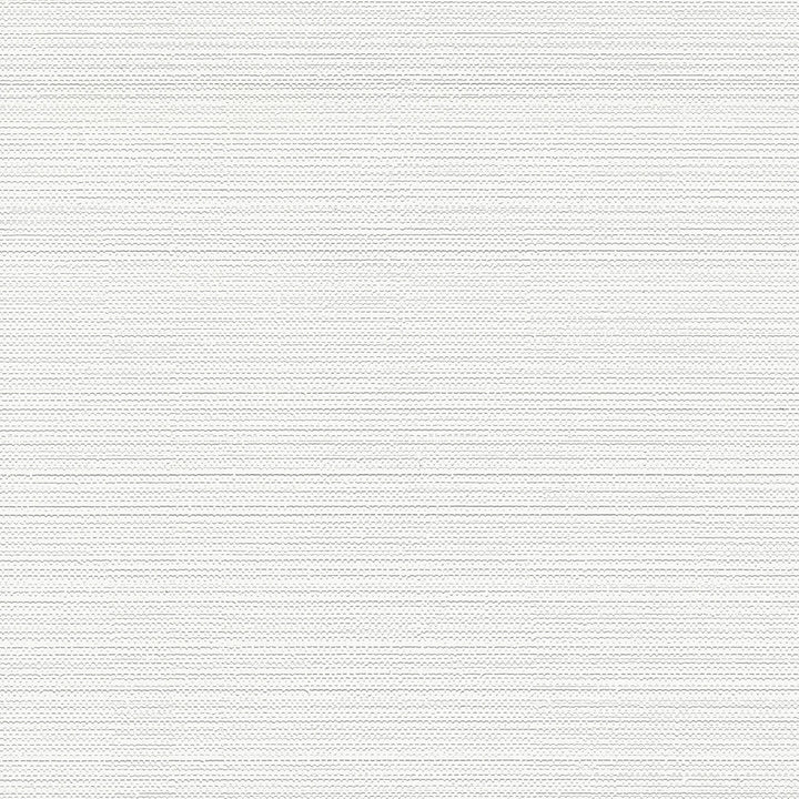 MacLise White Texture Paintable Wallpaper by Brewster PaintWorks Covers about 57.5 square feet 20.9-in by 33-ft long roll Prepasted 20.9 - Fabric Carolina -