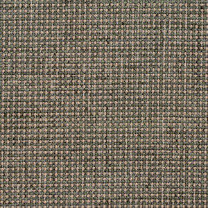 4005 Aloe by Charlotte Fabric