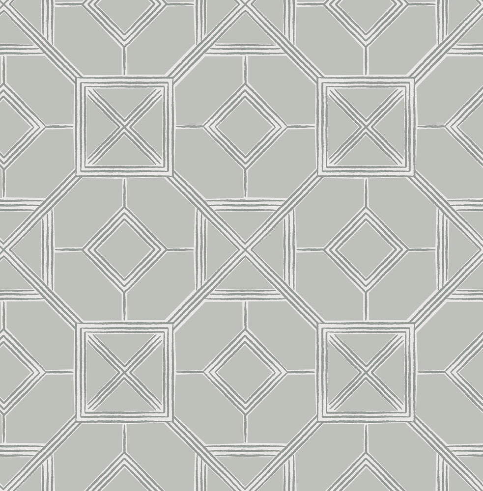 Livia Grey Trellis Wallpaper by A-Street Prints Seychelles Covers about 56.4 square feet 20.5-in by 33-ft long roll Unpasted 10.4 - Fabric Carolina -