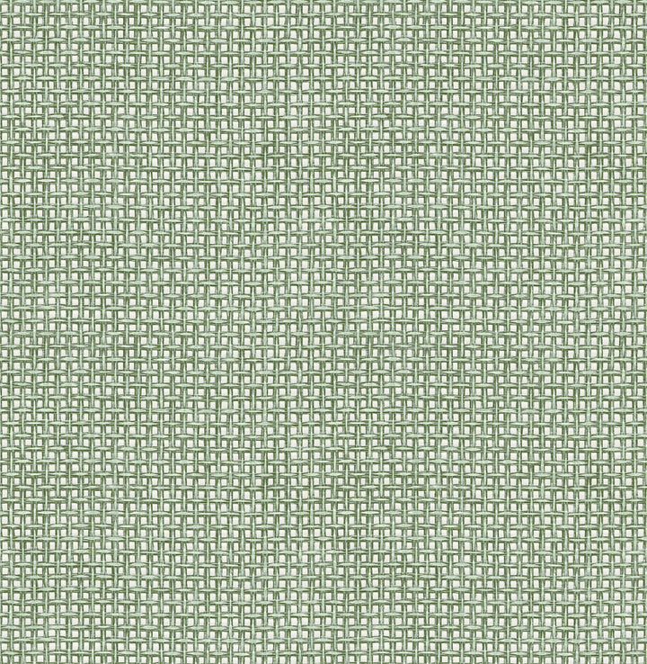 Zia Green Basketweave Wallpaper by A-Street Prints Seychelles Covers about 56.4 square feet 20.5-in by 33-ft long roll Unpasted 10.4 - Fabric Carolina -