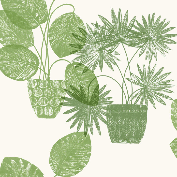 Aida Green Potted Plant Wallpaper by A-Street Prints Seychelles Covers about 60.8 square feet 27-in by 27-ft long roll Unpasted 27 - Fabric Carolina -