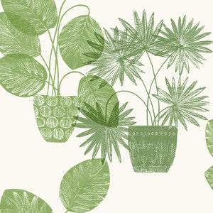 Aida Green Potted Plant Wallpaper by A-Street Prints