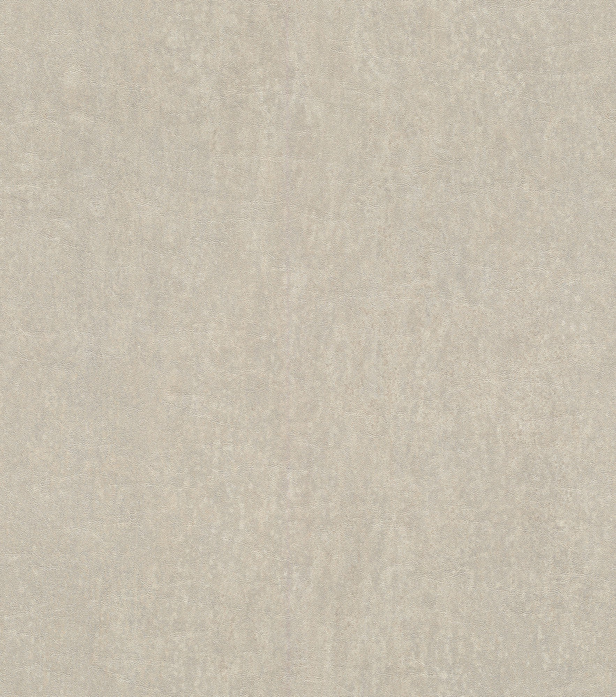 Segwick Taupe Speckled Texture Wallpaper by Advantage Beyond Textures Covers about 57.8 square feet Germany Unpasted No repeat, random match 21-in by 33-ft long roll - Fabric Carolina -