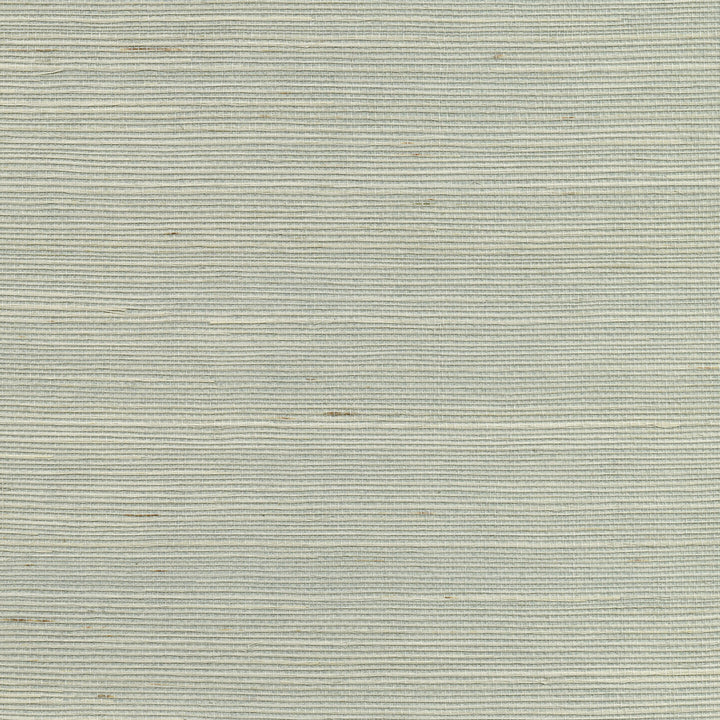 Nantong Light Blue Sisal Grasscloth Wallpaper by Advantage Grasscloth Portfolio Covers about 72 square feet 36-in by 24-ft long roll Unpasted 0 - Fabric Carolina -