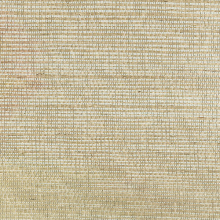 Ruslan Brown Grasscloth Wallpaper by Advantage Grasscloth Portfolio Covers about 72 square feet 36-in by 24-ft long roll Unpasted 0 - Fabric Carolina -