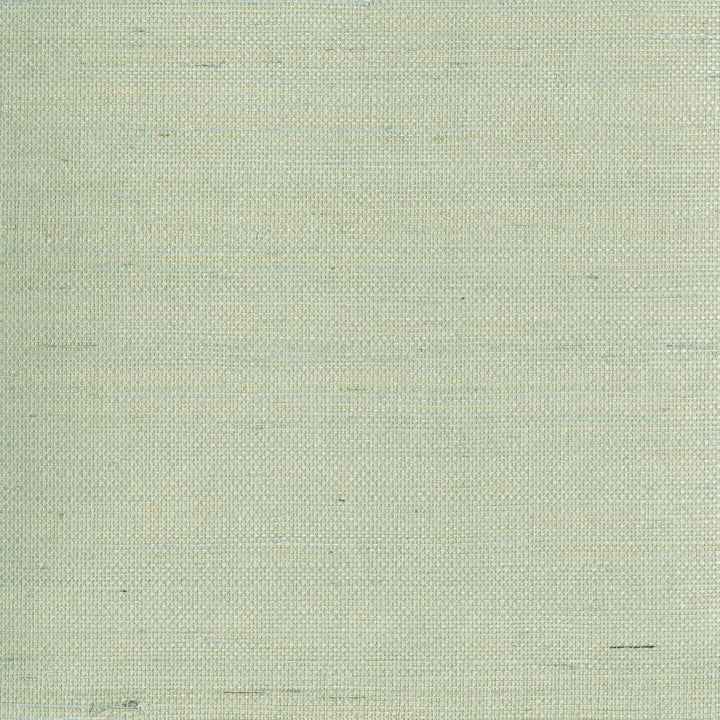 Mugen Light Green Grasscloth Wallpaper by Advantage Grasscloth Portfolio Covers about 72 square feet 36-in by 24-ft long roll Unpasted 0 - Fabric Carolina -