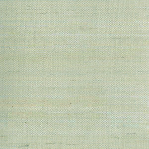 Mugen Light Green Grasscloth Wallpaper by Advantage