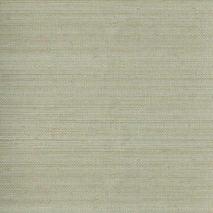 Myoki Neutral Grasscloth Wallpaper by Advantage Grasscloth Portfolio Covers about 72 square feet 36-in by 24-ft long roll Unpasted 0 - Fabric Carolina -
