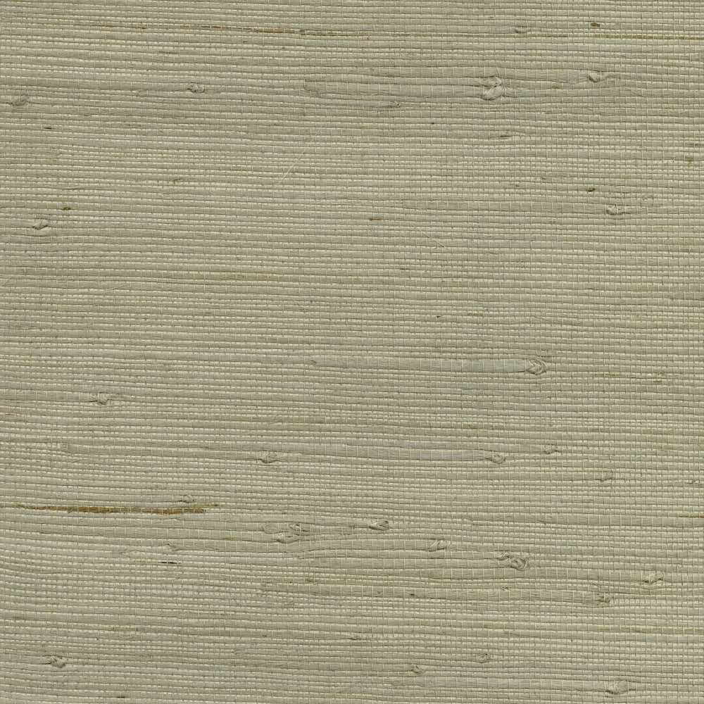 Battan Taupe Grasscloth Wallpaper by Advantage Grasscloth Portfolio Covers about 72 square feet 36-in by 24-ft long roll Unpasted 0 - Fabric Carolina -