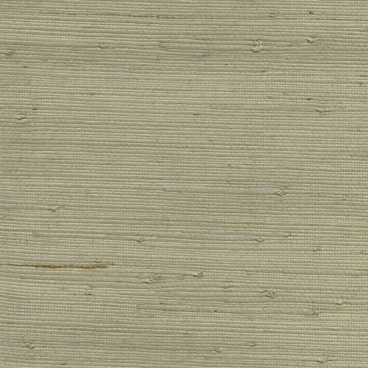 Battan Taupe Grasscloth Wallpaper by Advantage Grasscloth Portfolio Covers about 72 square feet 36-in by 24-ft long roll Unpasted 0 - Fabric Carolina -