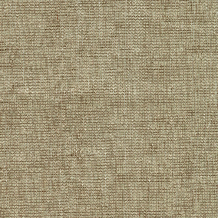 Ruslan Taupe Sisal Grasscloth Wallpaper by Advantage Grasscloth Portfolio Covers about 72 square feet 36-in by 24-ft long roll Unpasted 0 - Fabric Carolina -