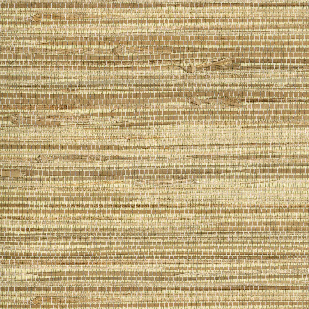 Endo Neutral Grasscloth Wallpaper by Advantage Grasscloth Portfolio Covers about 72 square feet 36-in by 24-ft long roll Unpasted 0 - Fabric Carolina -