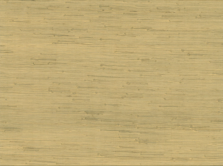 Shan Light Green Grasscloth Wallpaper by Advantage Grasscloth Portfolio Covers about 72 square feet 36-in by 24-ft long roll Unpasted 0 - Fabric Carolina -